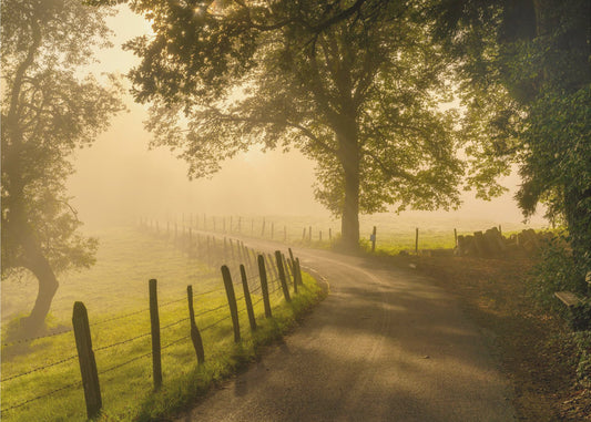 Morgenspaziergang | Tapete