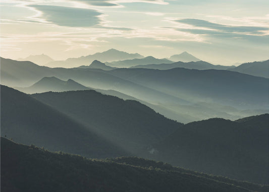 Silhouetten | Tapete