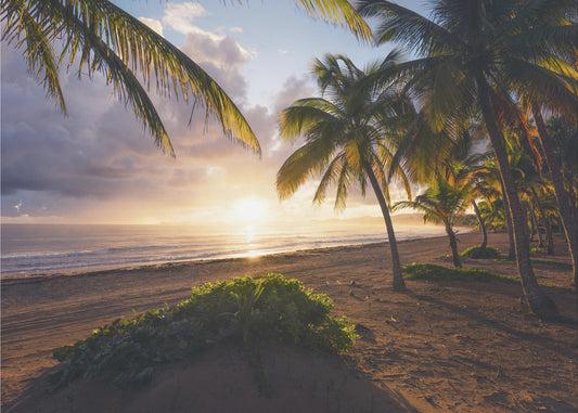 Guten Morgen Paradies | Hintergrundbild