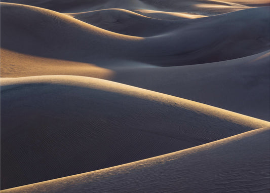 Curves | Wallpaper