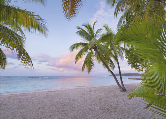 Tropischer Strand | Tapete