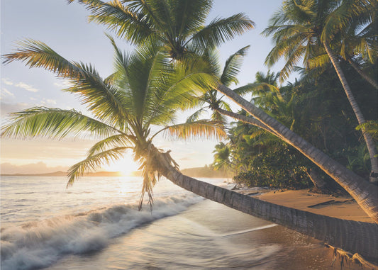 Paradiesufer | Tapete