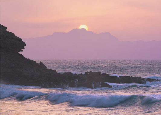Purple Morning | Poster