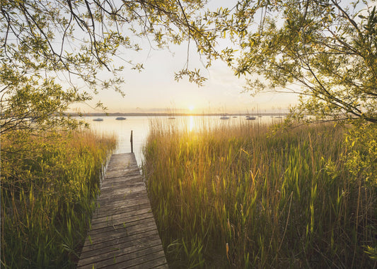Goldener Steg | Tapete