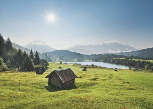 Sommerwiese | Tapete