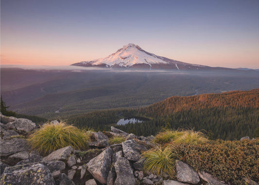 Mount Hood | Tapete