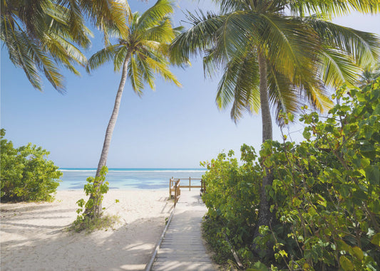 Zum Strand | Hintergrundbild