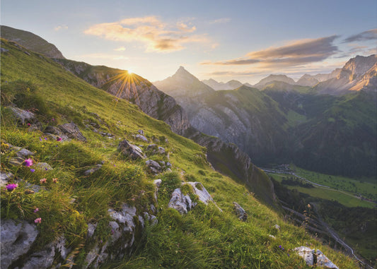 Sommerwiese | Leinwand