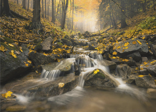 Herbst-Stream | Hintergrundbild