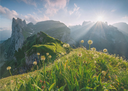 Hochsommer | Leinwand