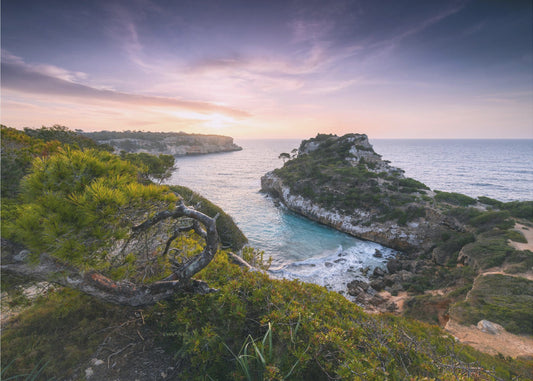 Baydreams | Tapete
