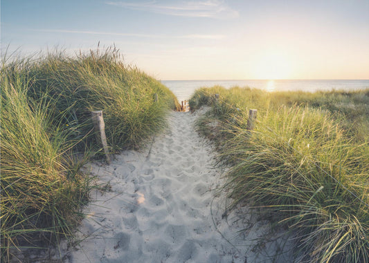 Zum Strand | Hintergrundbild