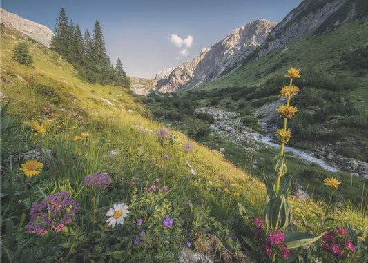 Garten Eden | Tapete