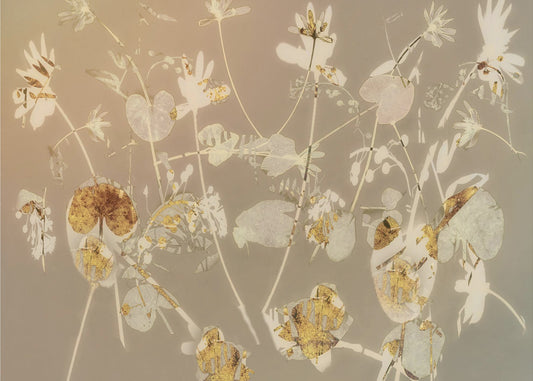 Happy flowers | Poster