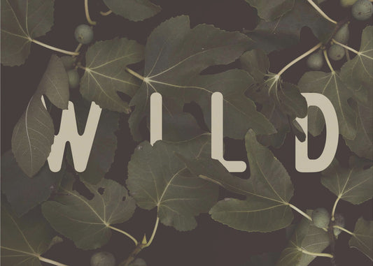 Wild Nr. 2 | Poster