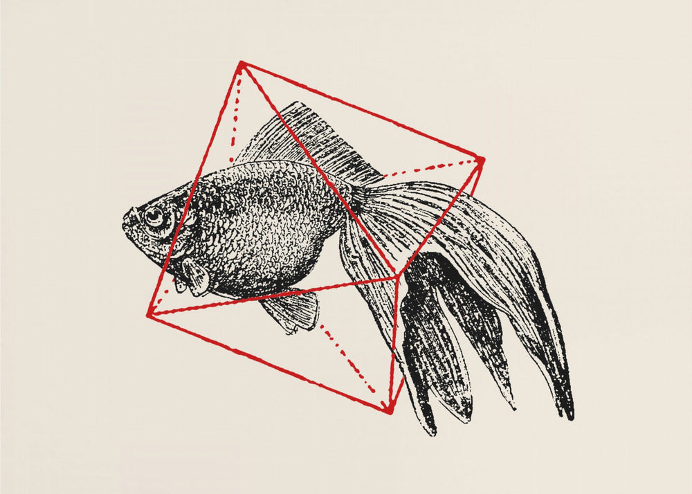 Fish In Geometrics Nº3 | Canvas