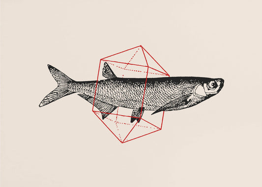 Fische in Geometrie Nr. 2 | Tapete