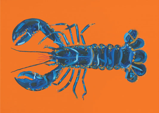 Hummer auf Orange | Poster