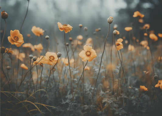 Goldener Mohntraum | Tapete