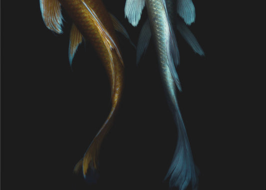 a Couple | Canvas