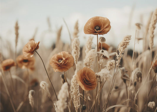 Mohnblumen im Wind | Tapete