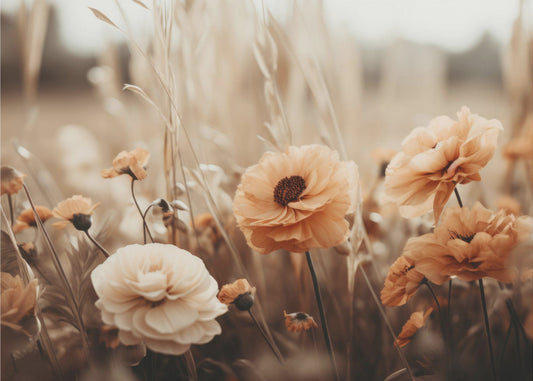 Sepiablüten | Tapete