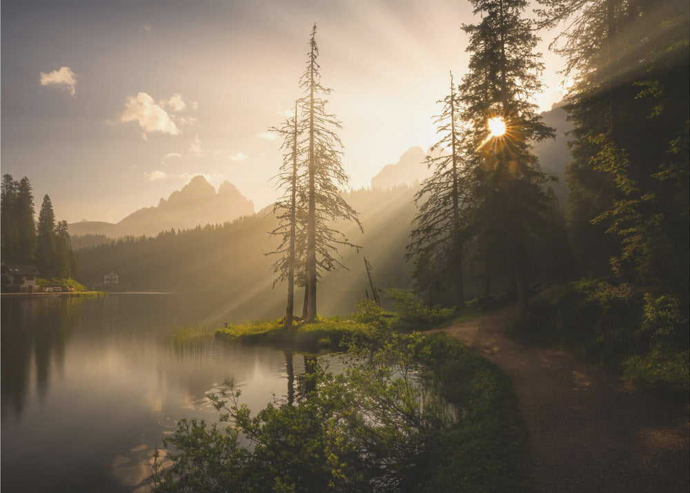 Morgenlicht | Tapete