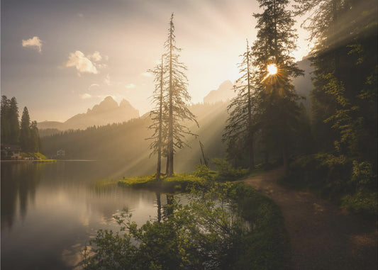 Morgenlicht | Tapete