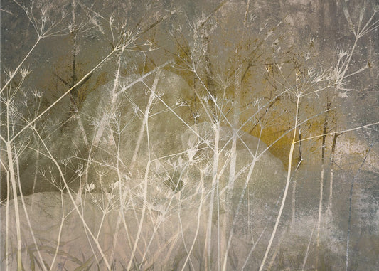 Bloom over | Canvas
