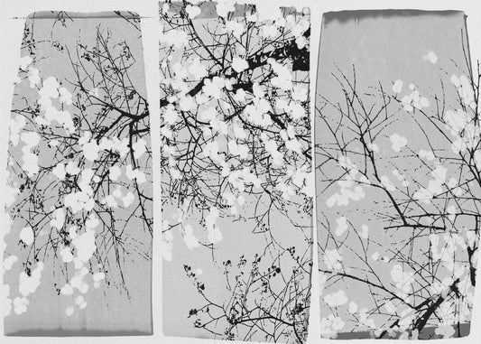 Orientalische Blüte | Leinwand
