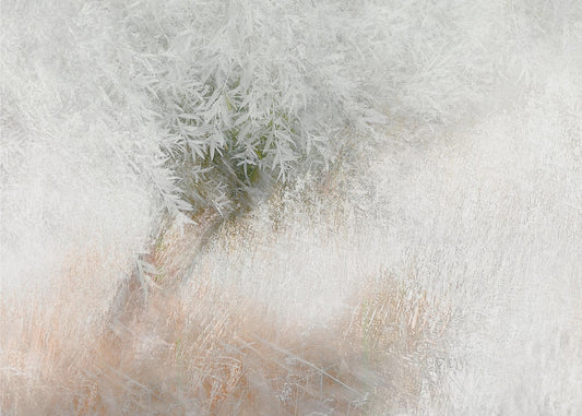 Soft and gentle | Poster