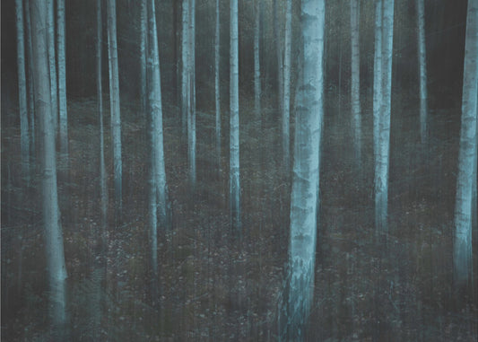 ICM v3 | Hintergrundbild