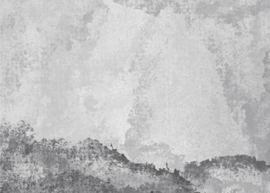 Graustufenberge | Leinwand