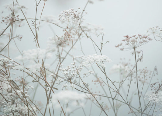 Sommermomente 12 | Tapete
