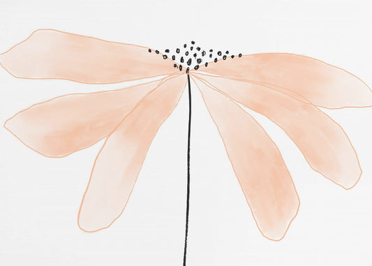 Zarte pfirsichfarbene Blume mit Blütenblättern | Leinwand