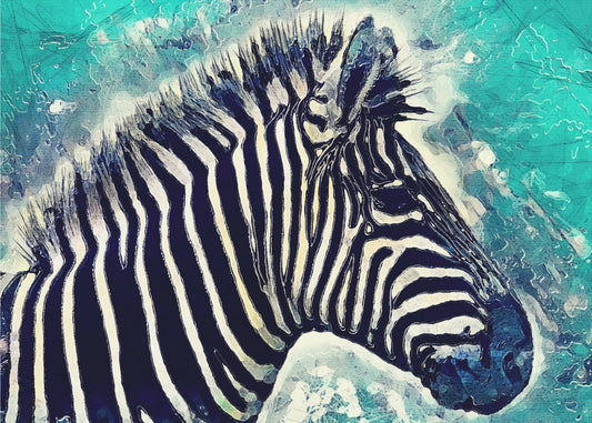 Zebra animal 1 | Poster