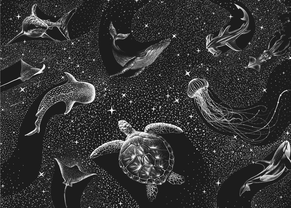 Kosmischer Ozean (Schwarze Version) | Hintergrund
