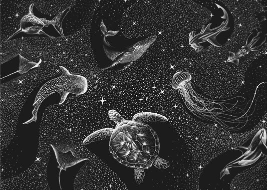 Kosmischer Ozean (Schwarze Version) | Hintergrund