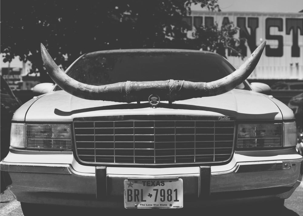 Texas-Fahrt | Leinwand