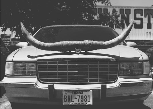Texas-Fahrt | Leinwand
