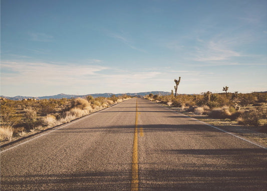 Joshua Tree Road | Poster