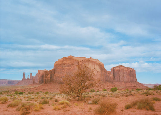 Monument Valley IX | Leinwand