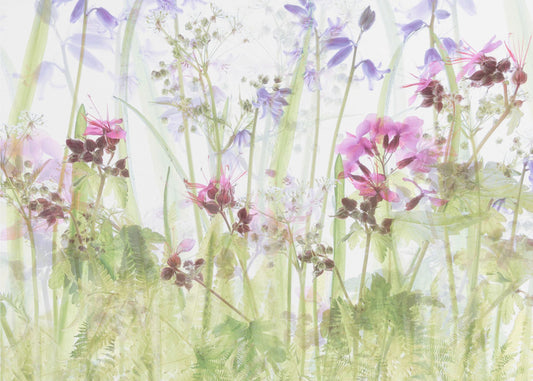 Between the grasses | Poster
