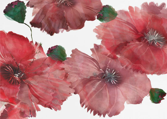 Große rote Blumen 1 | Poster