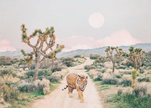 Wandernder Tiger | Poster