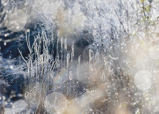 Ein Wintermorgen 3 | Poster