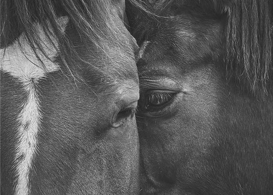 Liebe | Leinwand