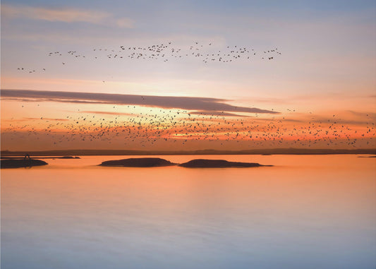 bei Sonnenuntergang | Hintergrund