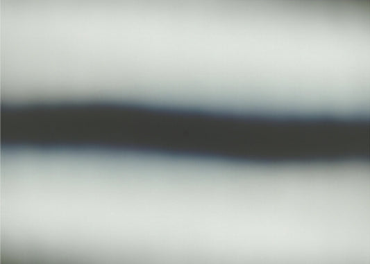 Mareike Böhmer | Leinwand