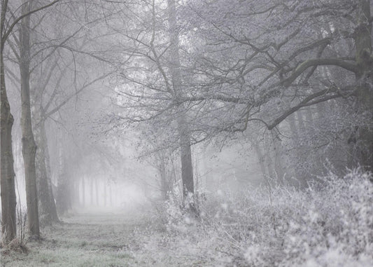 Nebliger Wintermorgen 1 | Poster
